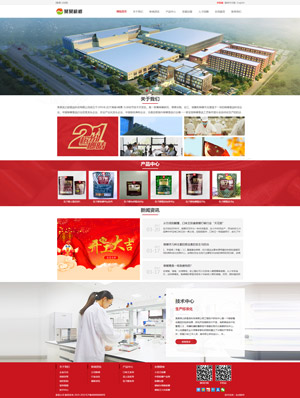 長沙網(wǎng)站建設