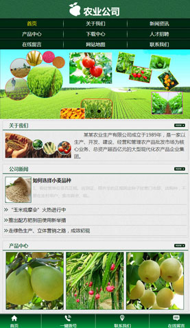 長沙網(wǎng)站建設(shè)